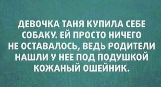 Приколы дня