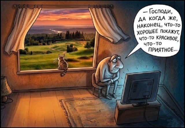 Приколы дня